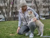 Ищет дом маленькое чудо  Лунтик, щенок 2 месяца!, фотография 5