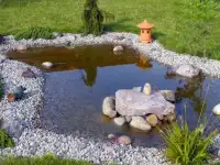 Ландшафтный дизайн участка