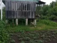 Участок 4 сот. (СНТ, ДНП)