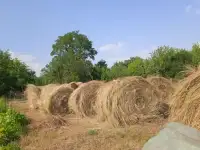 Сено в тюках