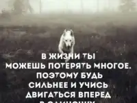 ищу работу, фотография 3
