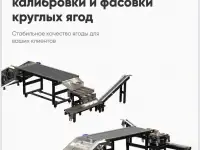 Оборудование для калибровки и сортировки круглых ягод, фотография 3
