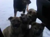Нужна помощь