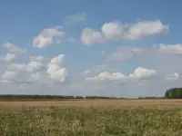 Продам земельный участок 5.0 гектар в Волжском районе, Самарской области, фотография 2