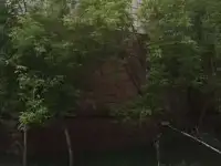 Продается база отдыха у источника минеральной воды.