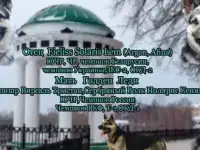 продаем щенков восточно-европейской овчарки