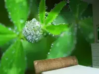 Натяжные потолки и тканевые стены, фотография 4
