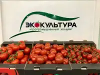Овощеводы Липецк, Усмань, Грязи