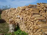 Дрова с доставкой