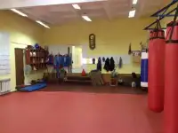 Боевое самбо , ММА , рукопашный бой, фотография 2