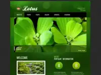 Санкт-Петербург - Создание Сайтов | Online Заказы | Вся Россия, фотография 8
