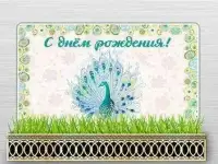 Подарок-впечатления, оригинальный подарок, фотография 5
