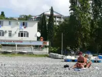 Отдых в Сочи. Гостиница в 100 метрах от моря