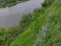 Земельный участок, обл., Рамонский р-н, Яменское сельское поселение