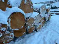 Кедр, лиственница кругляк, брус, лафет, доска., фотография 2