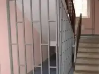 Дверные решетки по размерам заказчика., фотография 12