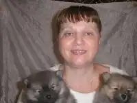 Померанцы шпицы. Вязка инструктор любых пород!