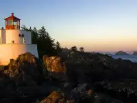 Настройка и ремонт фортепиано