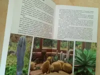 Кактусы и другие суккуленты в доме и в саду, фотография 5