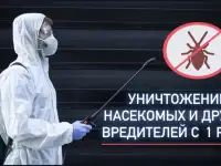 Дезинфекция Уничтожение тараканов клопов мышей Дезинсекция. Удаление запахов, плесени, фотография 2