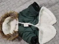 Зимняя куртка для собаки.