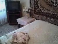 1-комнатная на сутки у метро