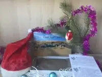 Шарфы из верблюжьего пуха