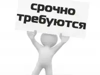 Заместитель руководителя отдела 