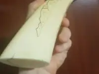 Клык Моржа с гравировкой, фотография 4
