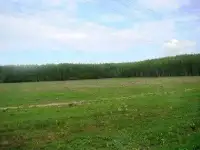 Выкуп земельных участков