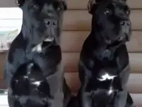 Супер детки