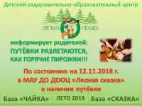 Зимние каникулы в детском лагере Лесная сказка с 3 по 9 января 2019 года