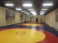 Борцовский ковер, стеновые протекторы, маты..., фотография 5