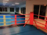боксерский ринг