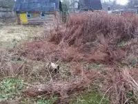 Продам, Лен.обл. Кировский р-он Назия