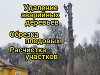 Спил вырубка обрезка  деревьев  Расчистка участка Сосенский