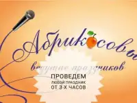 Ведущая, Диджей, Тамада