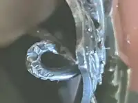 Знак отличия для не состоящих в духовном сане кандидатов богословия православных Духовных Академий.е гг., фотография 11