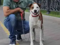 В добрые руки, фотография 2