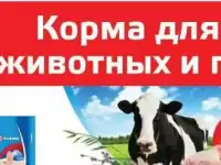 Пшеница, Овес, Дробленка, Ячмень