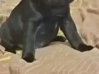 Кусочек счастья