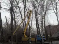 Снос спил обрезка удаление деревьев
