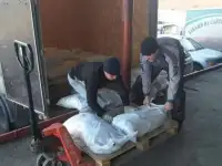 Грузчики, разнорабочие