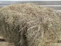 сено луговое в тюках