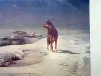 Редкая открытка. 