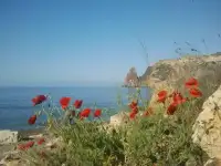 Отдых на море