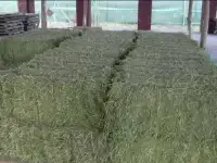 Продам сено и концентрированные корма в Краснодаре +доставка