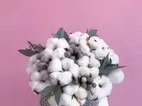 Готовый  цветочный бизнес, фотография 2