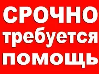 Помощь на сво рф детям в зоне военных действий