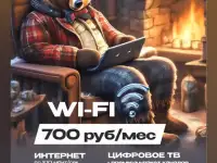 Подключение интернета Сибирский медведь